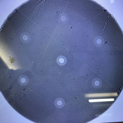 Multi Wetenschappelijke het Onderzoekproducten 6 van de Kern Optische Vezel geschikte zeshoek
